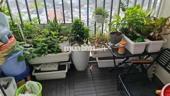 Căn hộ Splus Riverview Vĩnh Phú 38 2PN đầy đủ nội thất giá 1.6 tỷ