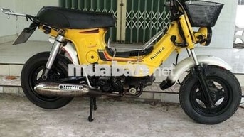 Chaly BsSG Giấy chuẩn, lên đề. Máy im ru, mạnh bốc