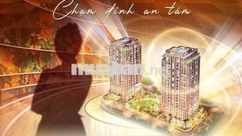 BẢO CHỨNG TUYỆT ĐỐI – CHẠM ĐỈNH AN TÂM 💎