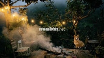Chú Tư cao tuổi cần bán gấp lô đất P11 Đà Lạt, chia thừa kế cho vợ con