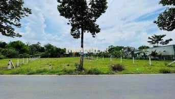 Bán Đất Tân Thông Hội -DT  190m2 - 1ty2 - shr