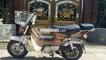 Chaly 2019 bstp có giấy tờ