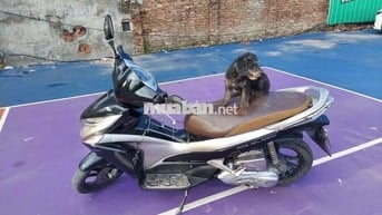 Bán xe Honda Airblade mầu đen chính chủ còn tốt