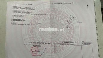 Bán đất thổ ,lúa full nền mặt tiền ql 62 xã Tân Đônghuyện Thạnh Hóa LA