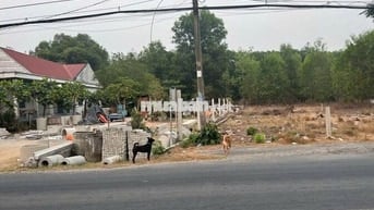 135M2 MẶT TIỀN NGUYỄN THỊ RÀNH AN NHƠN TÂY CỰC KÌ SẦM UẤT PHÁT TRIỂN
