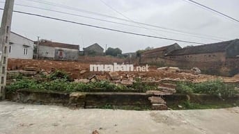 Đất Lạng Giang. KCN Đại Lâm, Đất Gia Đình Cần Bán