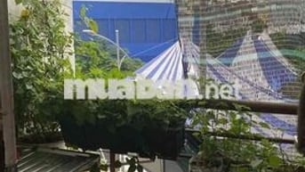 Cần 1 Nữ Ở Ghép Q10 Thành Thái