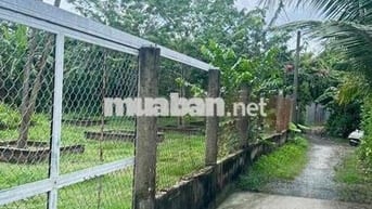 BÁN ĐẤT Xã BÌNH CHÁNH  full Thổ 121m2 Đất ONT