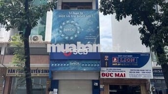 Cho thuê nhà MT Ký Con Q1; Vị trí đẹp hơn 300m2 sử dụng chỉ 60tr