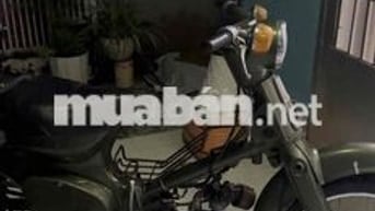 Xe Cúp Cánh Én Zin Cứng Ngắt