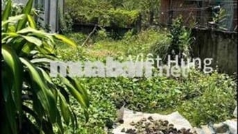 Bán đất mặt tiền QL30 gần chợ Mỹ Xương