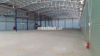 CHO THUÊ KHO 1100m2 MẶT TIỀN ĐƯỜNG VÕ THỊ SÁU – LONG TÂM, TP. BÀ RỊA