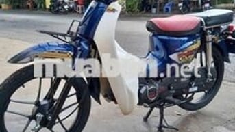 CUB 50cc cho học sinh