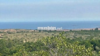 Bán đất view biển Mũi Né đối diện Marina – ngắm bình minh, hoàng hôn
