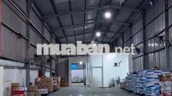 Cần cho thuê gấp kho đẹp với giá rẻ diện tích 730m2 ở Huỳnh Tấn Phát