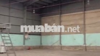 Kho diện tích lên đến 500m2 cần cho thuê gấp ở Đào Trí đường xe cont