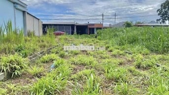 🏡 CHÍNH CHỦ CẦN BÁN ĐẤT ĐẸP – TÂN PHÚ TRUNG, CỦ CHI 🏡