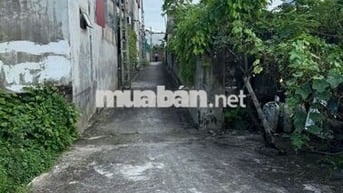 💥 ĐẤT TRUNG LẬP- TRI TRUNG - PHÚ XUYÊN - HÀ NỘI 
🎄 Diện tích: 48,5m