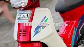 YaSS hải quan chính ngạch bao chạy toàn quốc