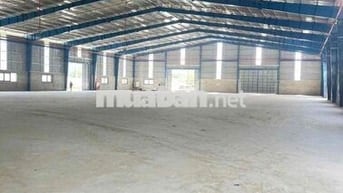 CHO THUÊ KHO MỚI 100% - TRANG BỊ PCCC - TỔNG 5500m2