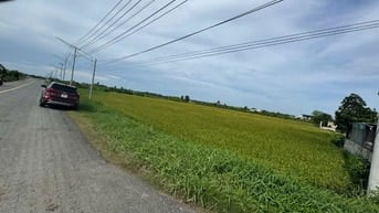 Bán 4.100 m2 đất mặt tiền TL 872B, Gò Công Tây, Tiền Giang, 5,5 tỷ TL