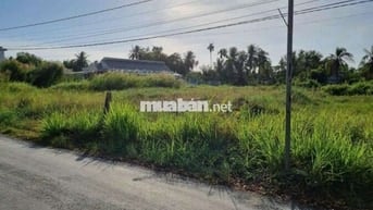 Chính chủ .
Bán 2 nền thổ cư liền kề mặt tiền nhựa