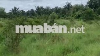 NỀN BIỆT THỰ PHÚ KHƯƠNG BẾN TRE 500 M²