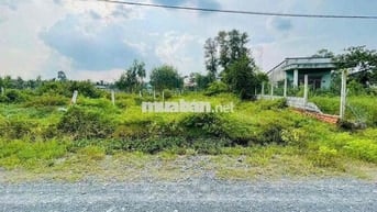🌟 BÁN ĐẤT GIÁ RẺ – TRUNG LẬP HẠ (XÃ NHUẬN ĐỨC MỚI), CỦ CHI 🌟