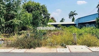 🏡 Bán đất MT đường 415 – Phước Vĩnh An, Củ Chi – 147m² thổ cư 100%