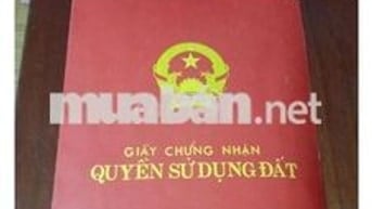 chính chủ sát tam trinh cần bán