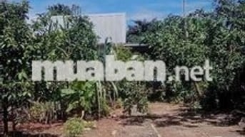 Chủ định cư nước ngoài cần bán gấp