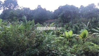Bán 4888m Đất Mặt Tiền Kinh Doanh