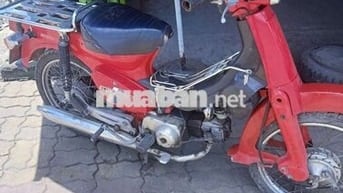 Cúp 70 giấy tờ đầy đủ