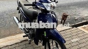 Wave a110 2024 xe đi chơi đi học ok