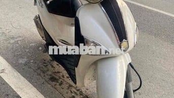 Xe Liberty fi zin đẹp như hình
