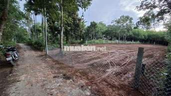 Bán đất tại Ninh An, Hòa Nhơn, xã Bà Nà, Đà Nẵng, 1,6 tỷ, 439,9 m2