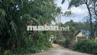 Đất thổ cư 20x20m đường ô tô Vĩnh Tân, Bình Dương