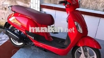 xe tay ga 50c