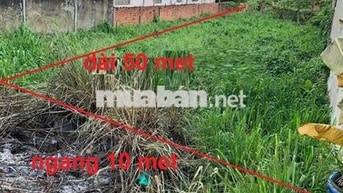 Chủ ngộp bán gấp lô 10x50 giá 750tr mặt tiền Nguyễn Kim Cương sổ sẵn