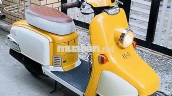 Julio nội địa 2 thì xăng pha nhớt tự động cực đẹp
