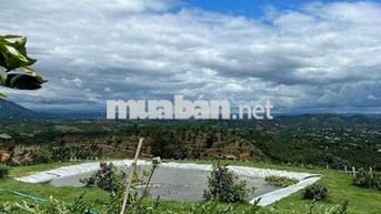 Cho Thuê hoặc hợp tác làm quán Cafe săn mây cực đẹp, View Cổng trời