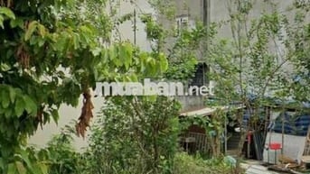 Cần tiền chữa bệnh ra nhanh lô ds4 Vĩnh lộc B,Bình Chánh chỉ 893tr SHR