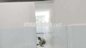 Cho thuê nhà nguyên căn, mới xây dựng ( chưa qua ai ở, bao mới tinh)
