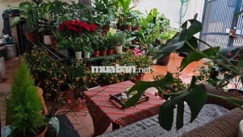 cho thuê tầng 1 + sân vườn làm quán cf, văn phòng