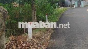 Bán Đất Mặt tiền, 720m2, Đường Nhựa Tân Thành, xã Đức Trọng, Lâm Đồng