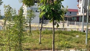 Đất thổ cư, xuân nộn Đông Anh, đối diện công viên, hồ.