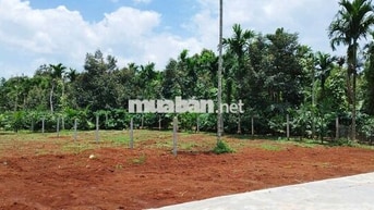 🚨CÁCH NGUYỄN XUÂN NGUYÊN 30M, EANAO B 10x20M, THỔ CƯ 60M² – GIÁ 2 TỶ 🚨