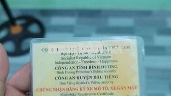 cần tiền bán em no