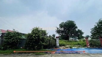 530 triệu, Ngay Chợ Việt Kiều 5x40 Tân Thông Hội Mặt Tiền Kinh Doanh