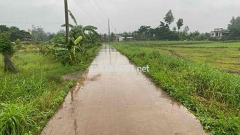 Đất xã Sông Ray, Đồng Nai diện tích hơn 4 xào cần bán